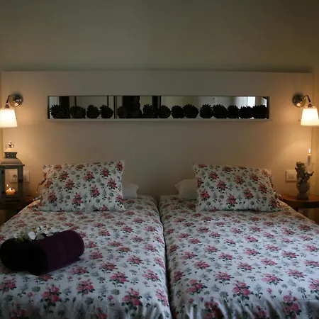 Bed & Breakfast Casa Leopoldo Camino De Santiago Palas de Rei